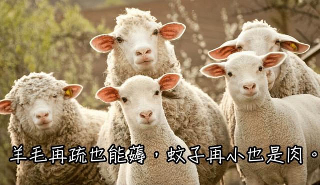 手机号未绑定或注册怎么办 您的手机号已被使用(4)