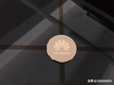 小米和华为体脂秤到底哪个好 测评华为智能体脂秤(4)